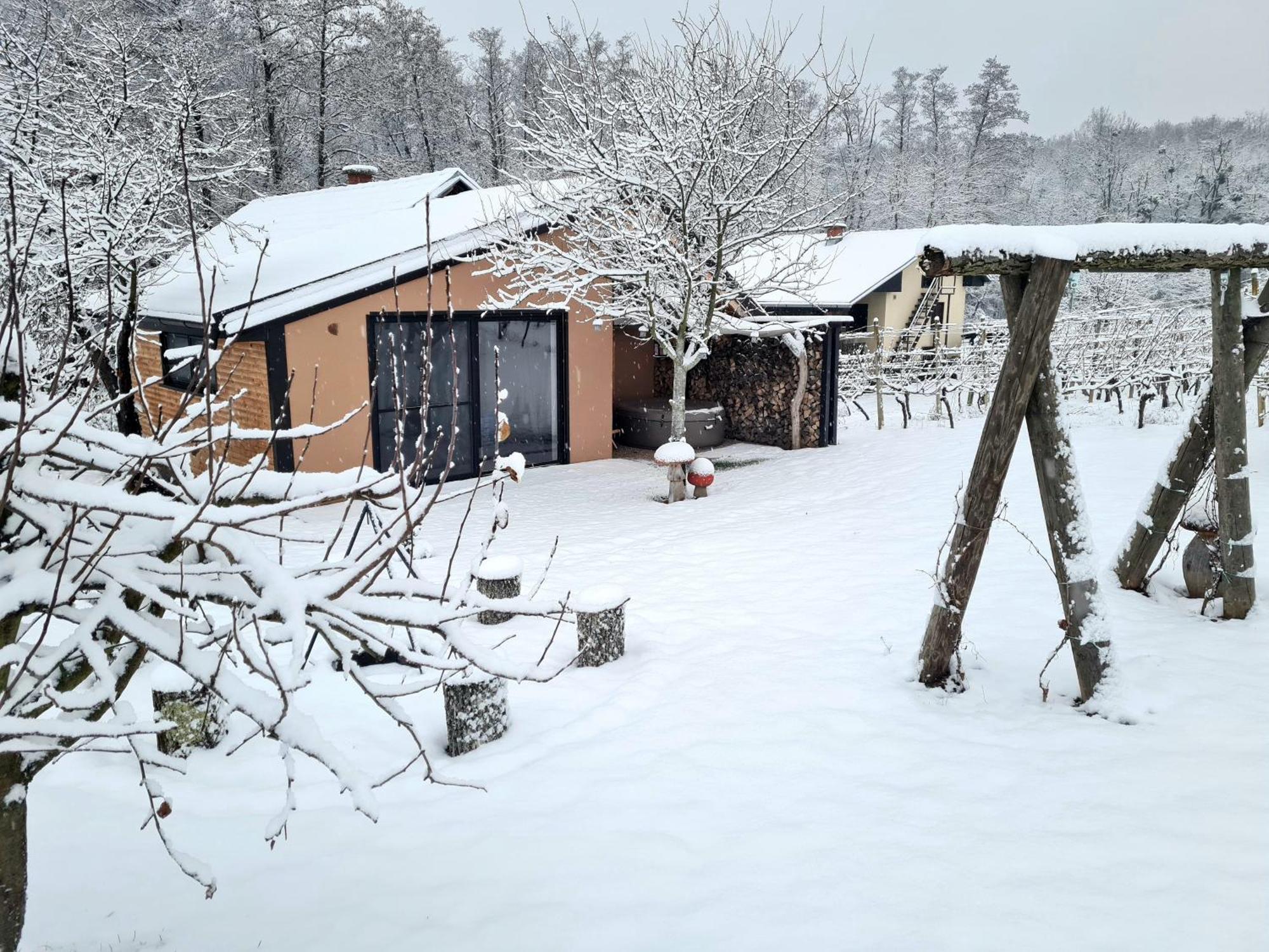 Vila Gozdarjeva Hiska M&K Dobrovnik Exteriér fotografie